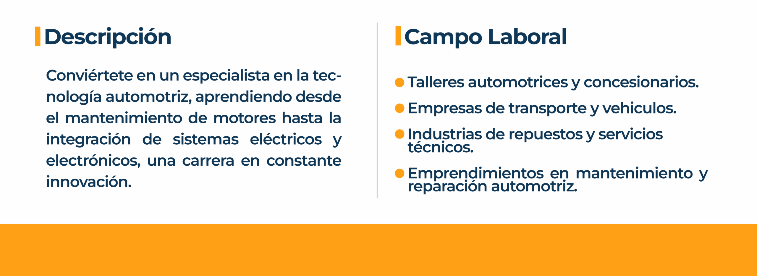 INFO 8