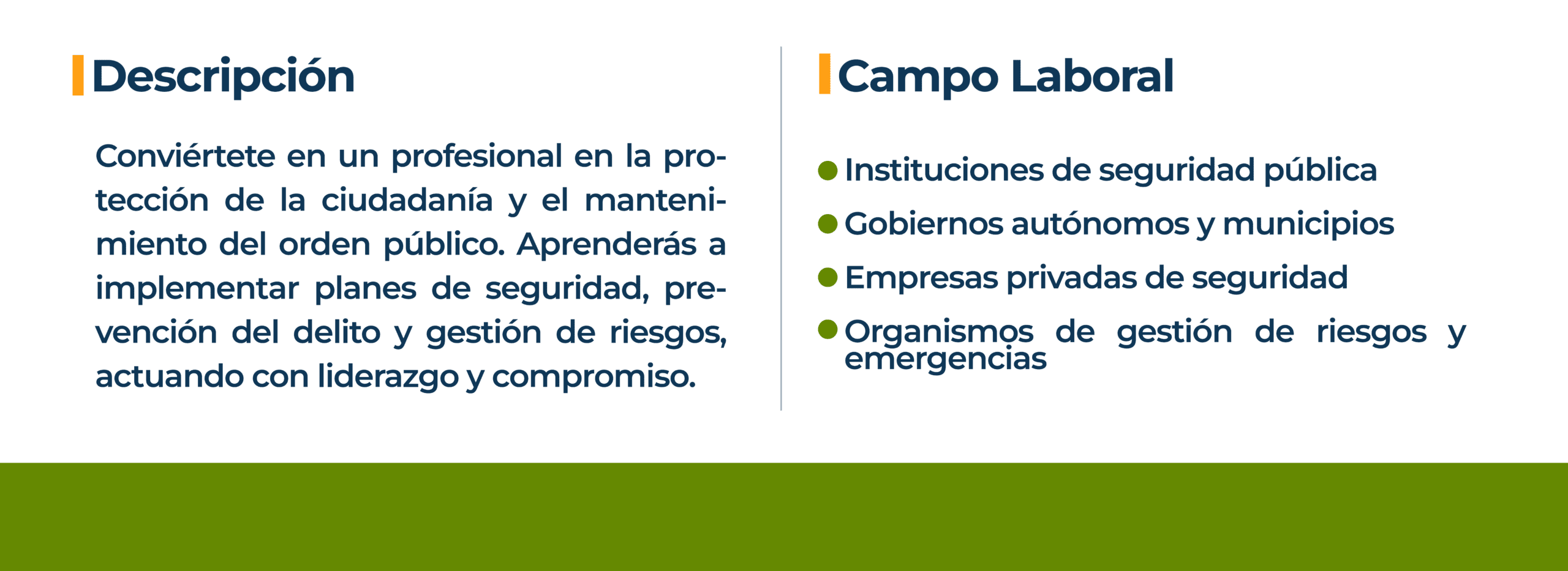 CAMPO LABORAL SEGURIDAD CIUDADANA